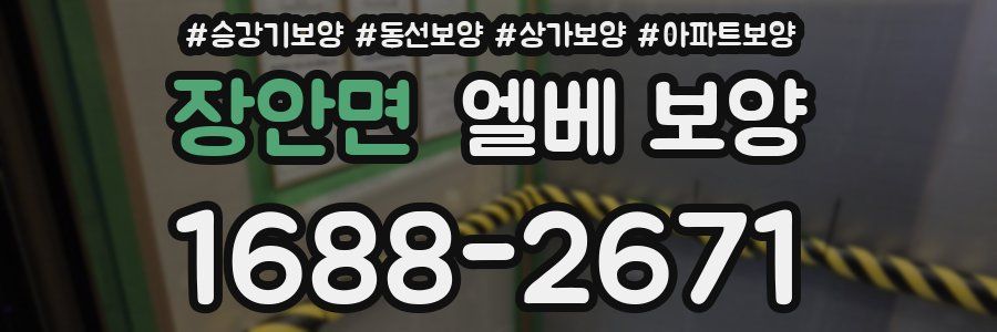 장안면 엘베 보양