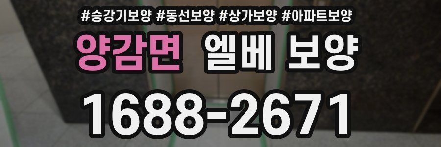 양감면 엘베 보양