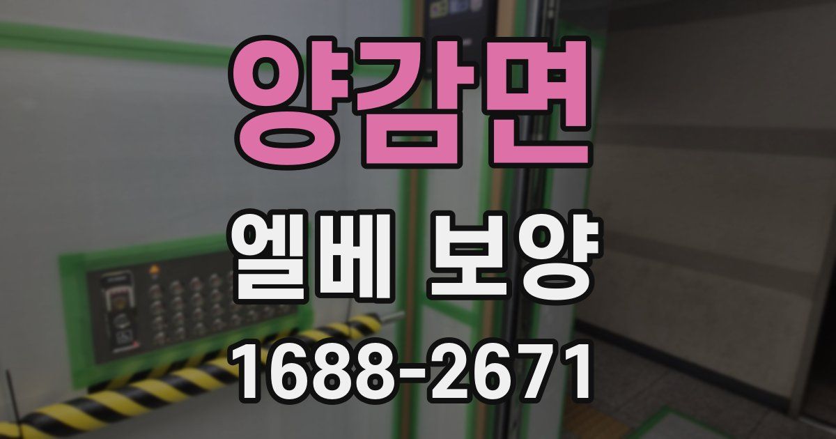 양감면 엘베 보양