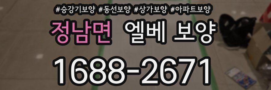 정남면 엘베 보양