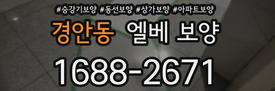 경안동 엘베 보양