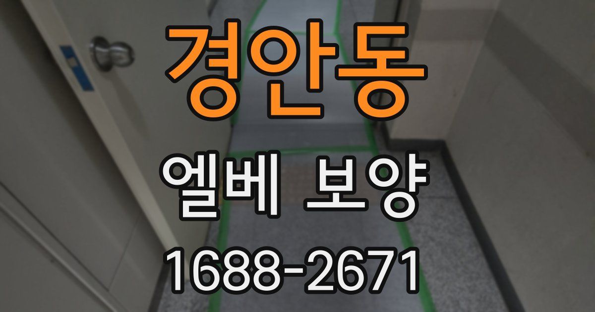 경안동 엘베 보양