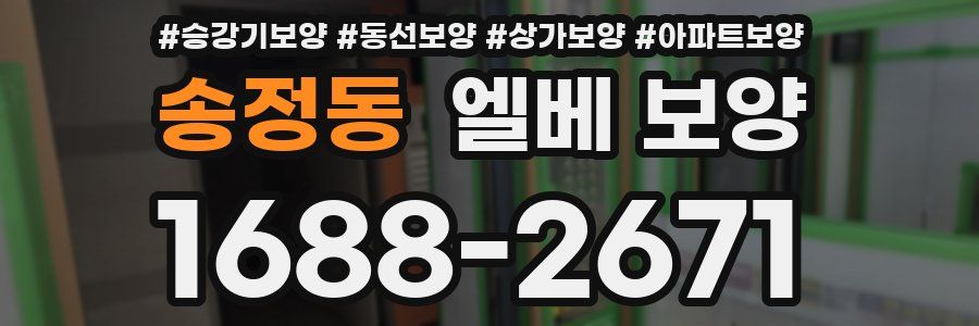 송정동 엘베 보양
