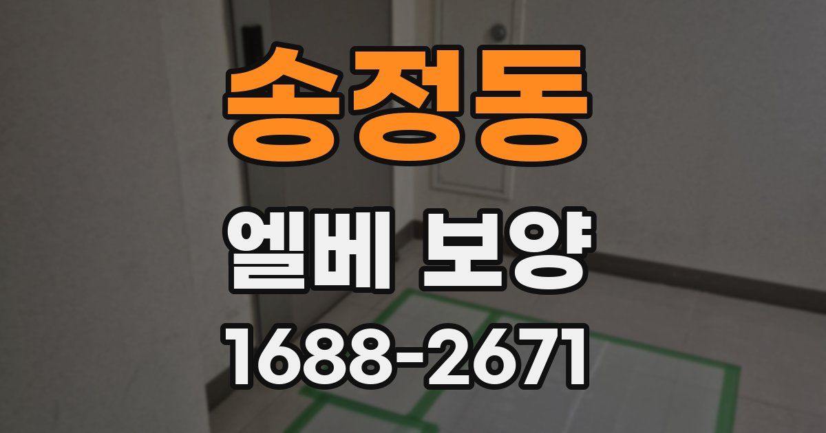송정동 엘베 보양
