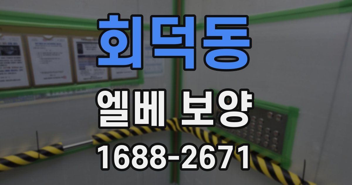 회덕동 엘베 보양