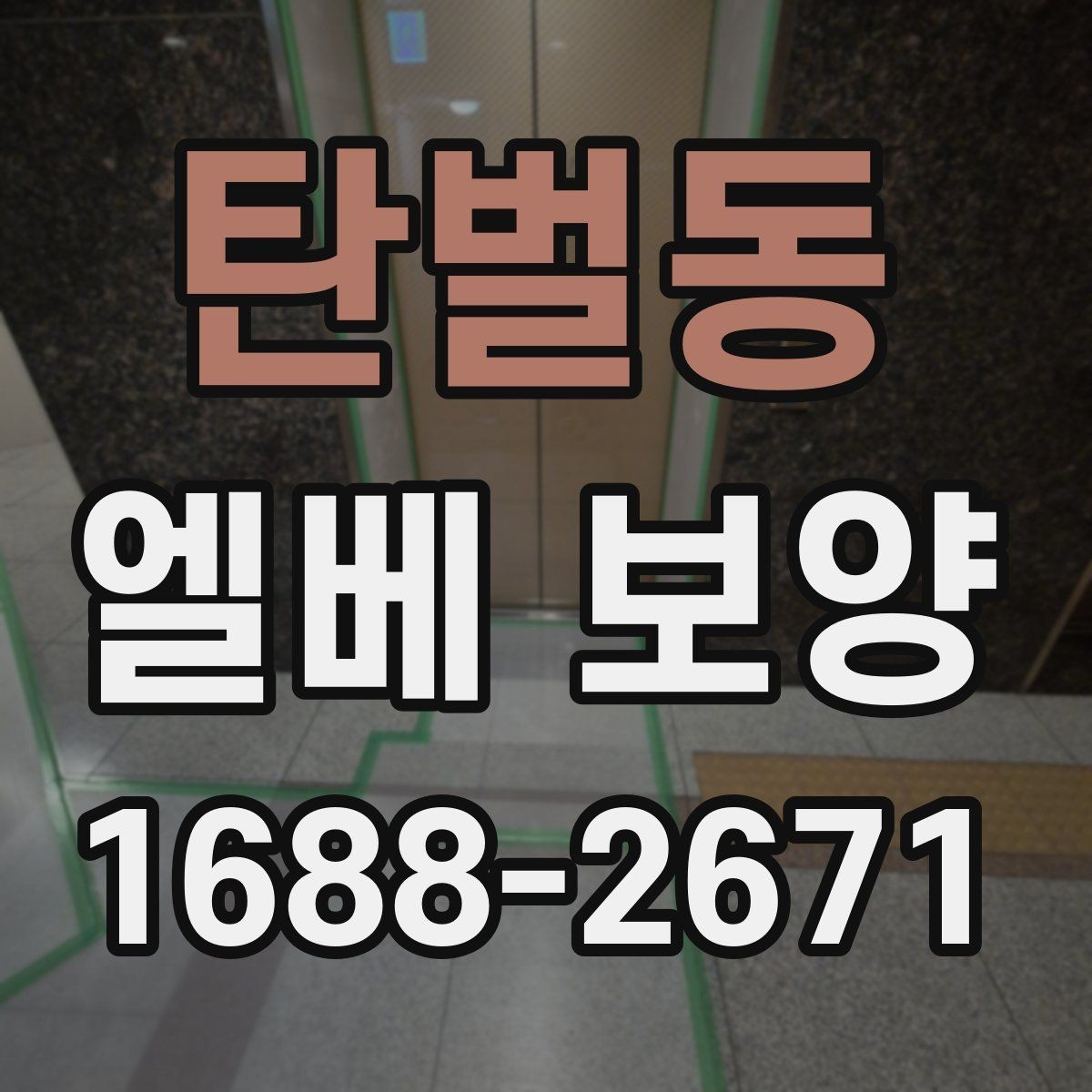 탄벌동 엘베 보양 이사와 철거가 겹친 현장 관리법