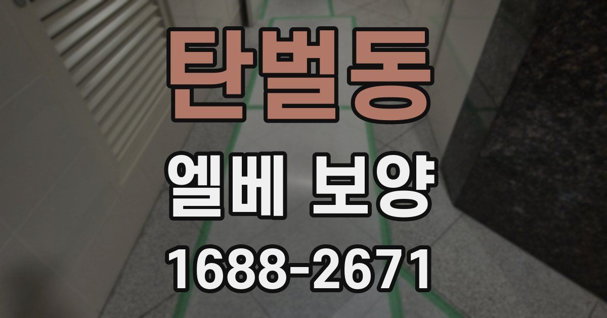 탄벌동 엘베 보양