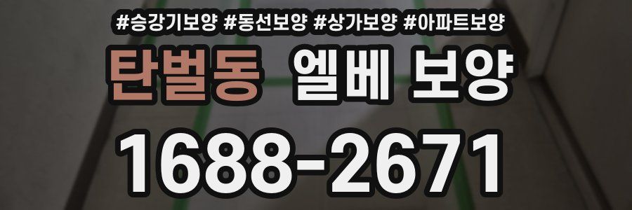 탄벌동 엘베 보양