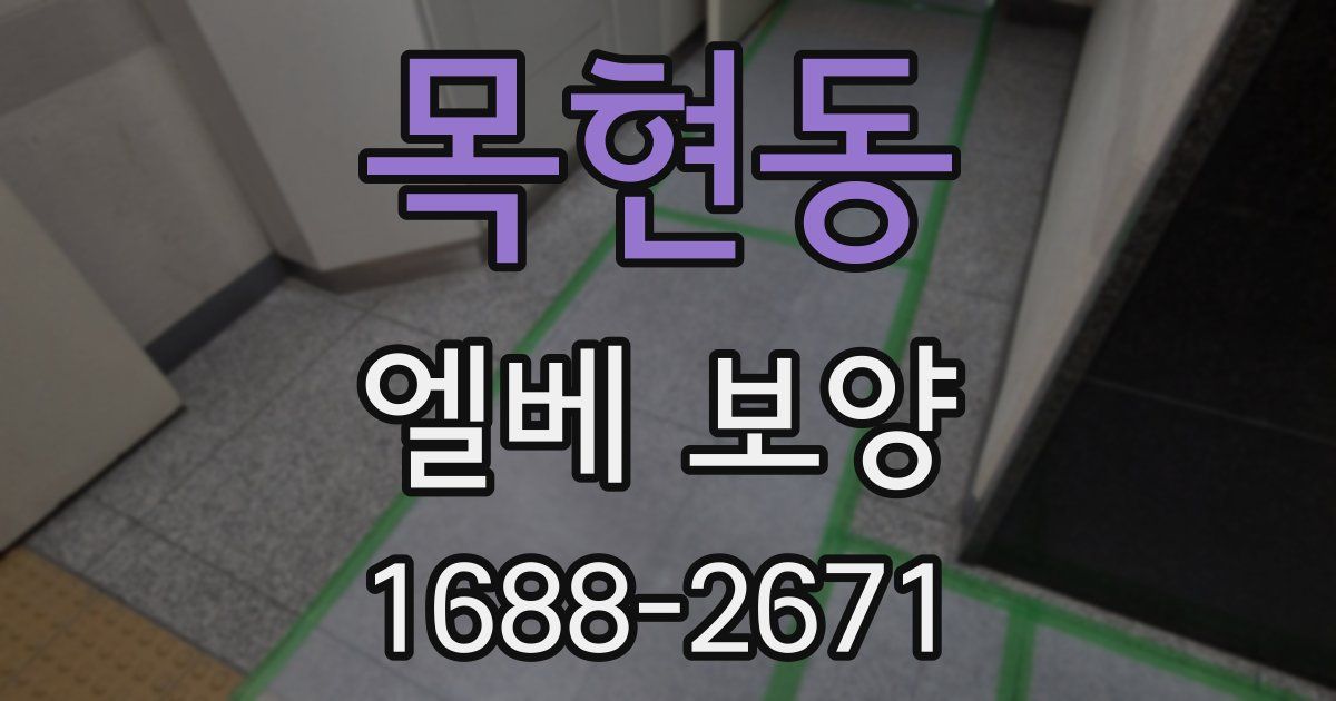 목현동 엘베 보양