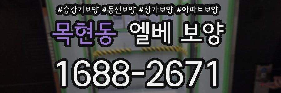 목현동 엘베 보양