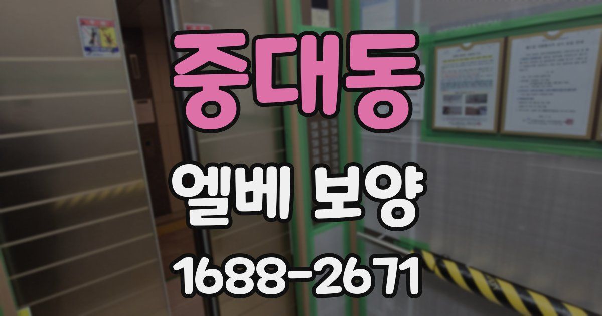 중대동 엘베 보양