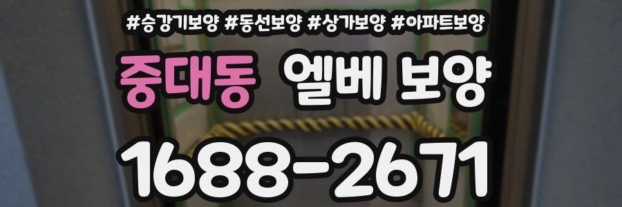 중대동 엘베 보양