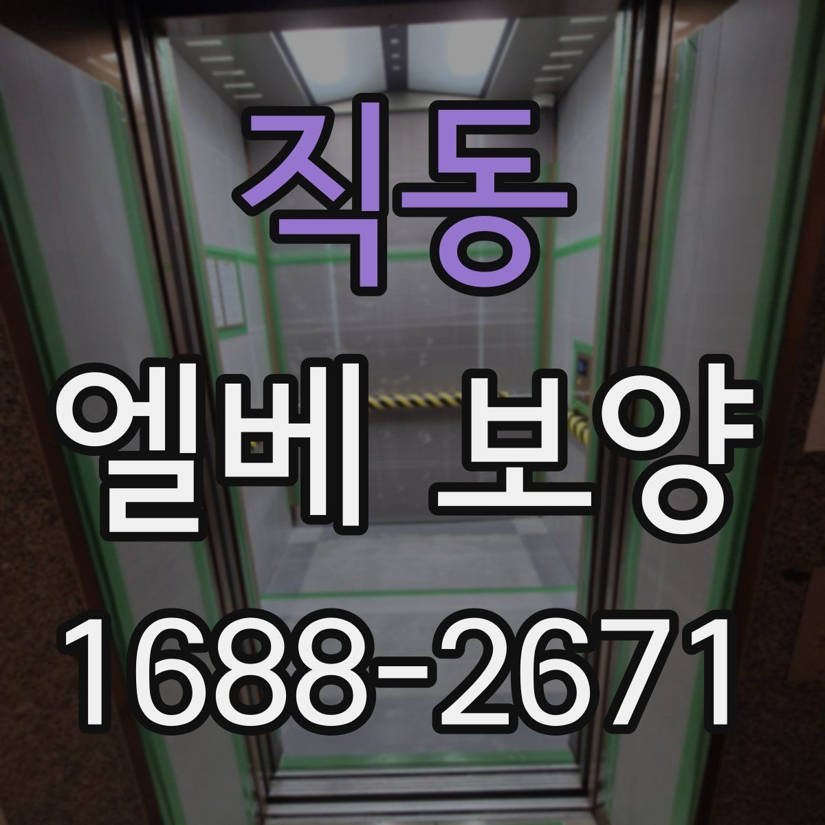 직동 엘베 보양 공사 전후 꼭 확인할 구역 정리