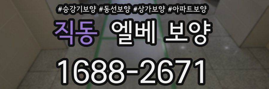 직동 엘베 보양