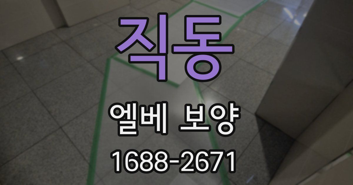 직동 엘베 보양