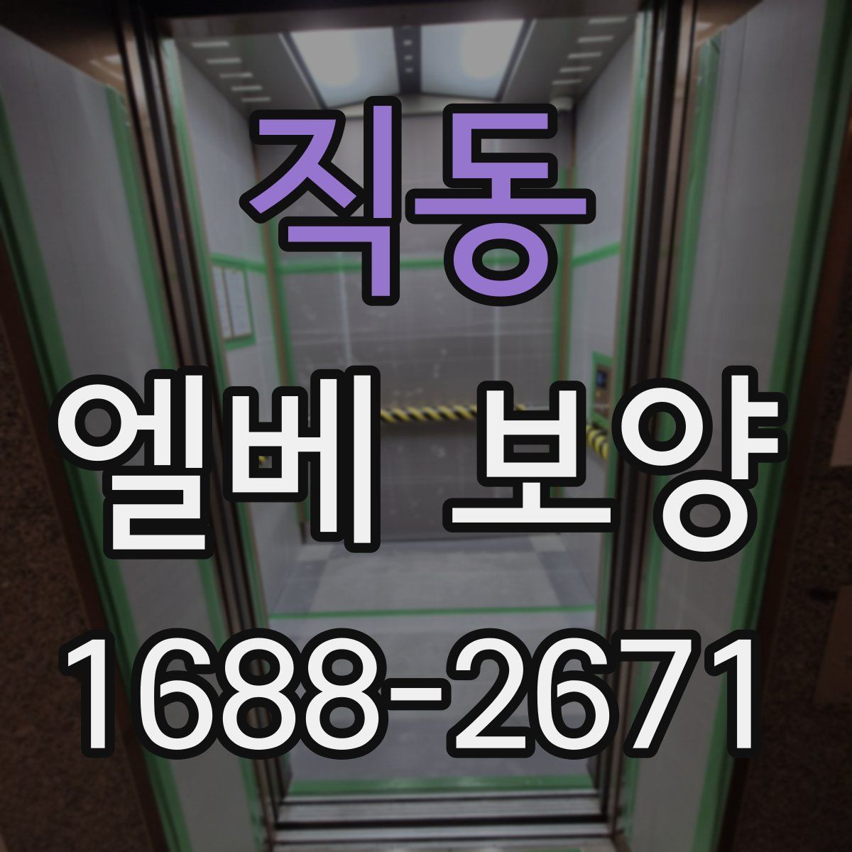 직동 엘베 보양