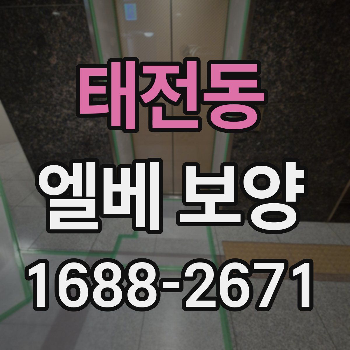 태전동 엘베 보양