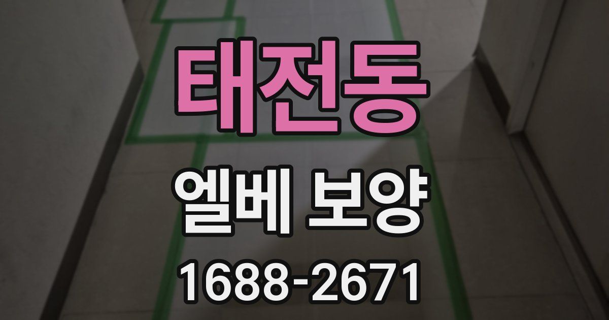 태전동 엘베 보양