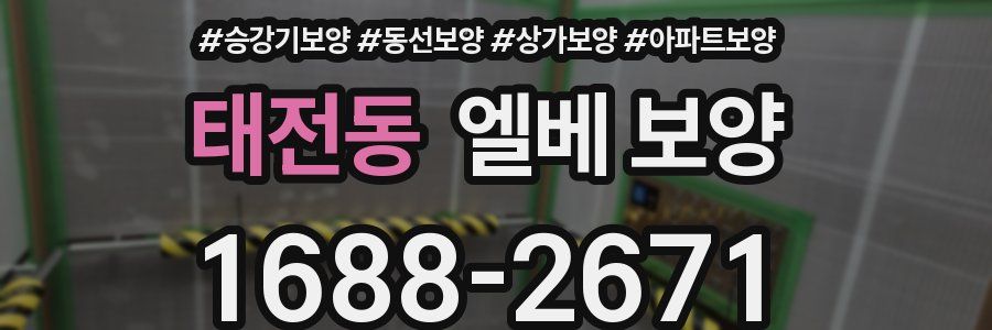 태전동 엘베 보양