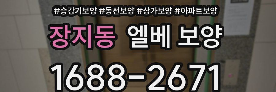 장지동 엘베 보양