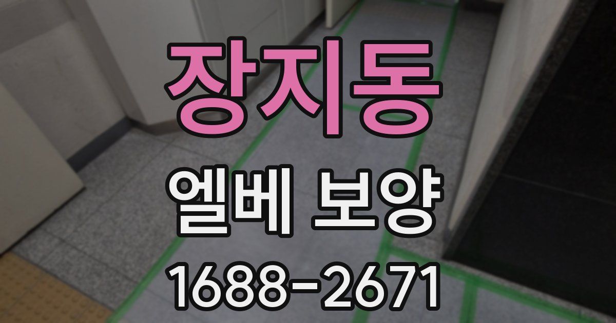 장지동 엘베 보양