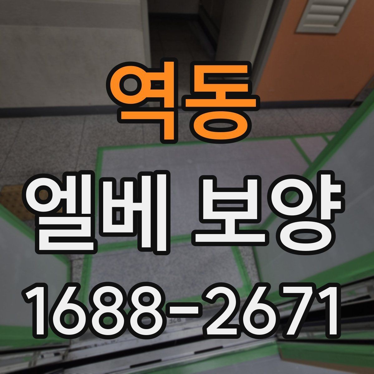 역동 엘베 보양 민원 발생 쉬운 부분 미리 막는 법