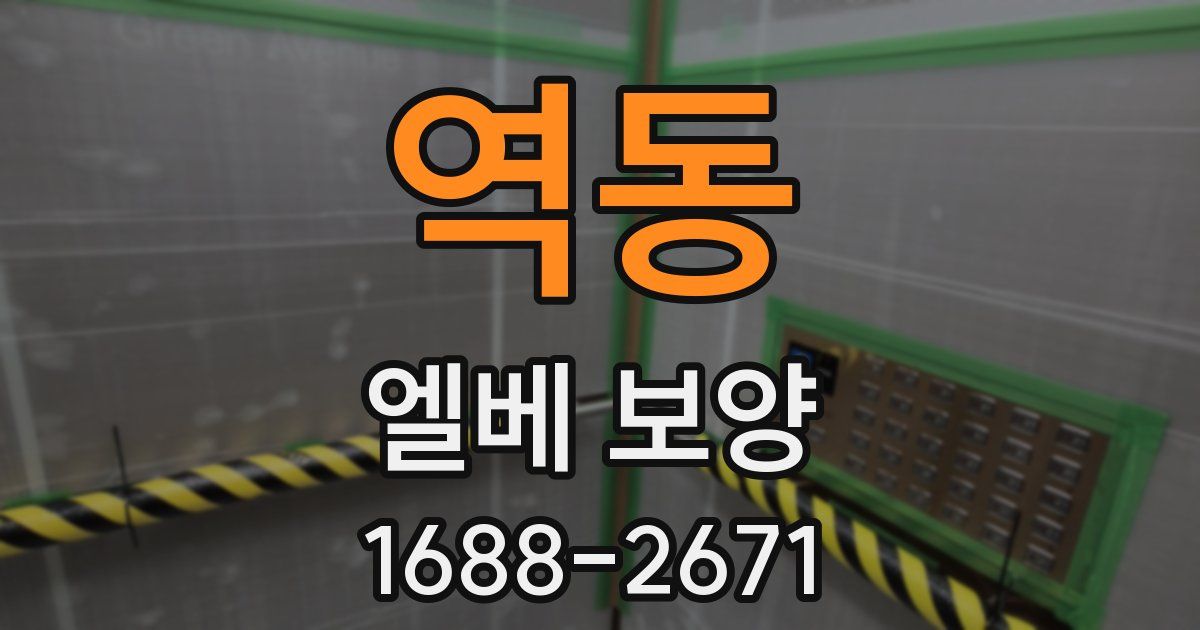 역동 엘베 보양