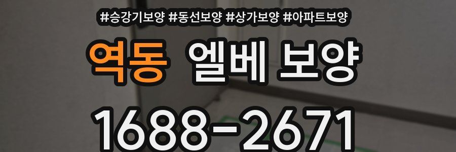 역동 엘베 보양