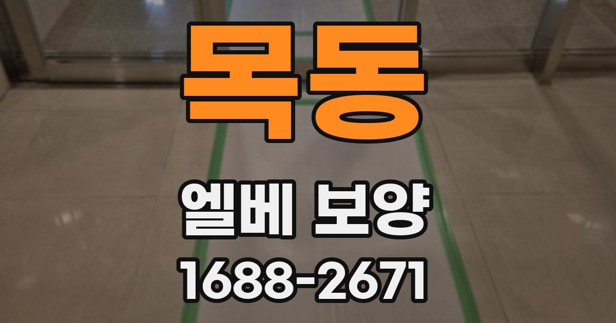 목동 엘베 보양