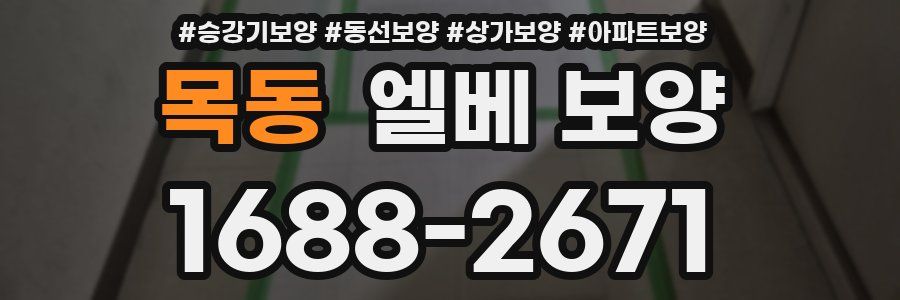 목동 엘베 보양