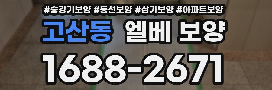 고산동 엘베 보양