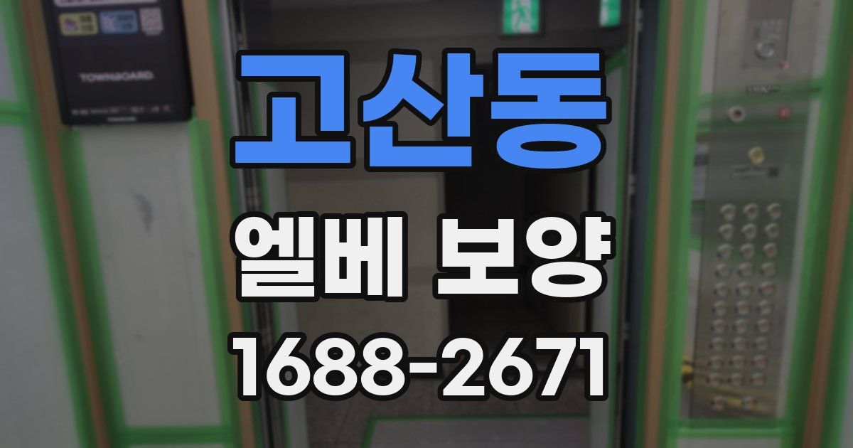 고산동 엘베 보양