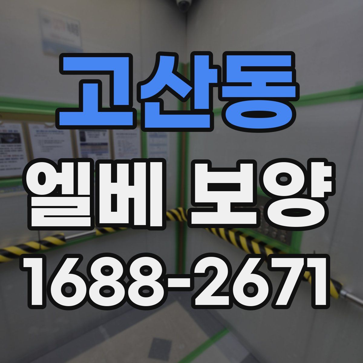 고산동 엘베 보양