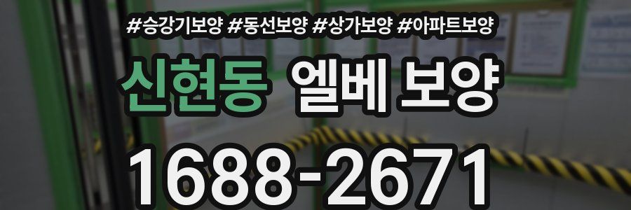신현동 엘베 보양