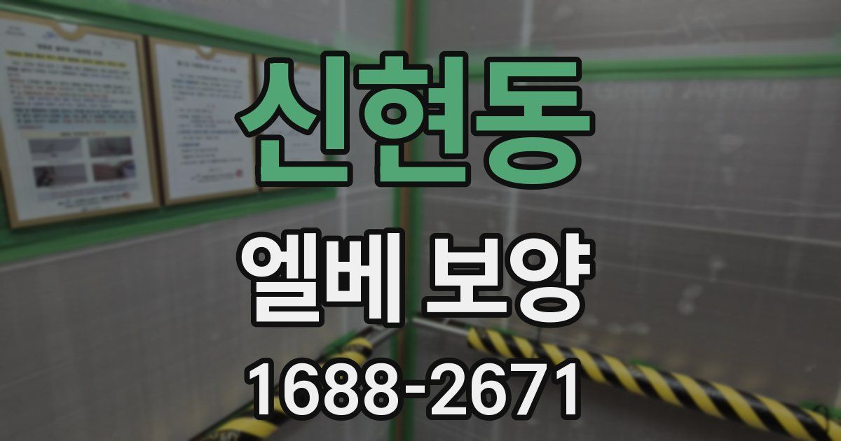 신현동 엘베 보양