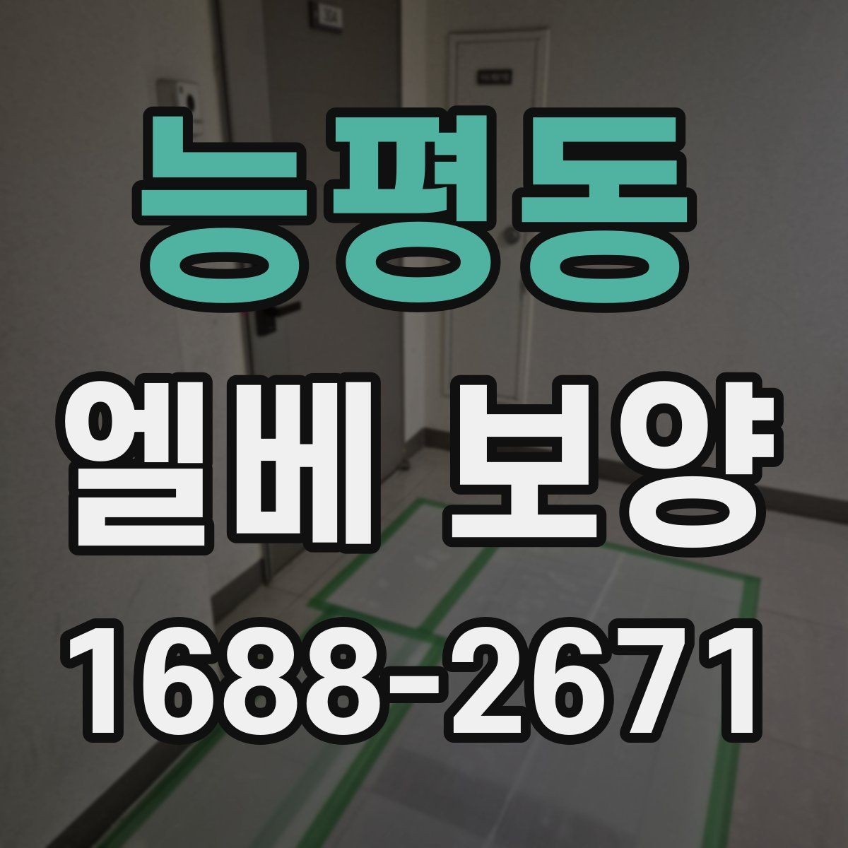능평동 엘베 보양 유리 패널 있는 승강기에서 볼 점검 항목