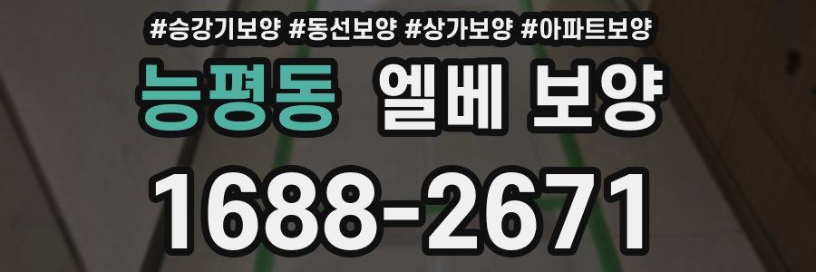 능평동 엘베 보양