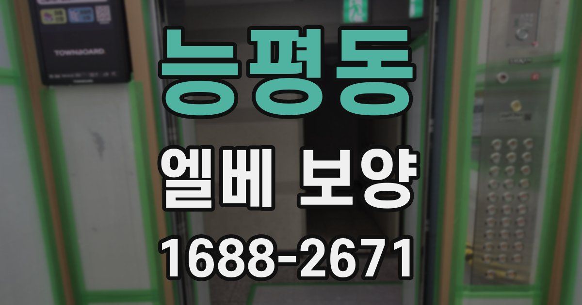 능평동 엘베 보양