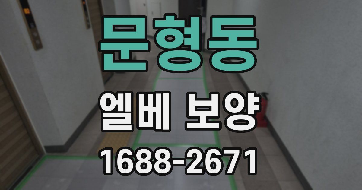 문형동 엘베 보양