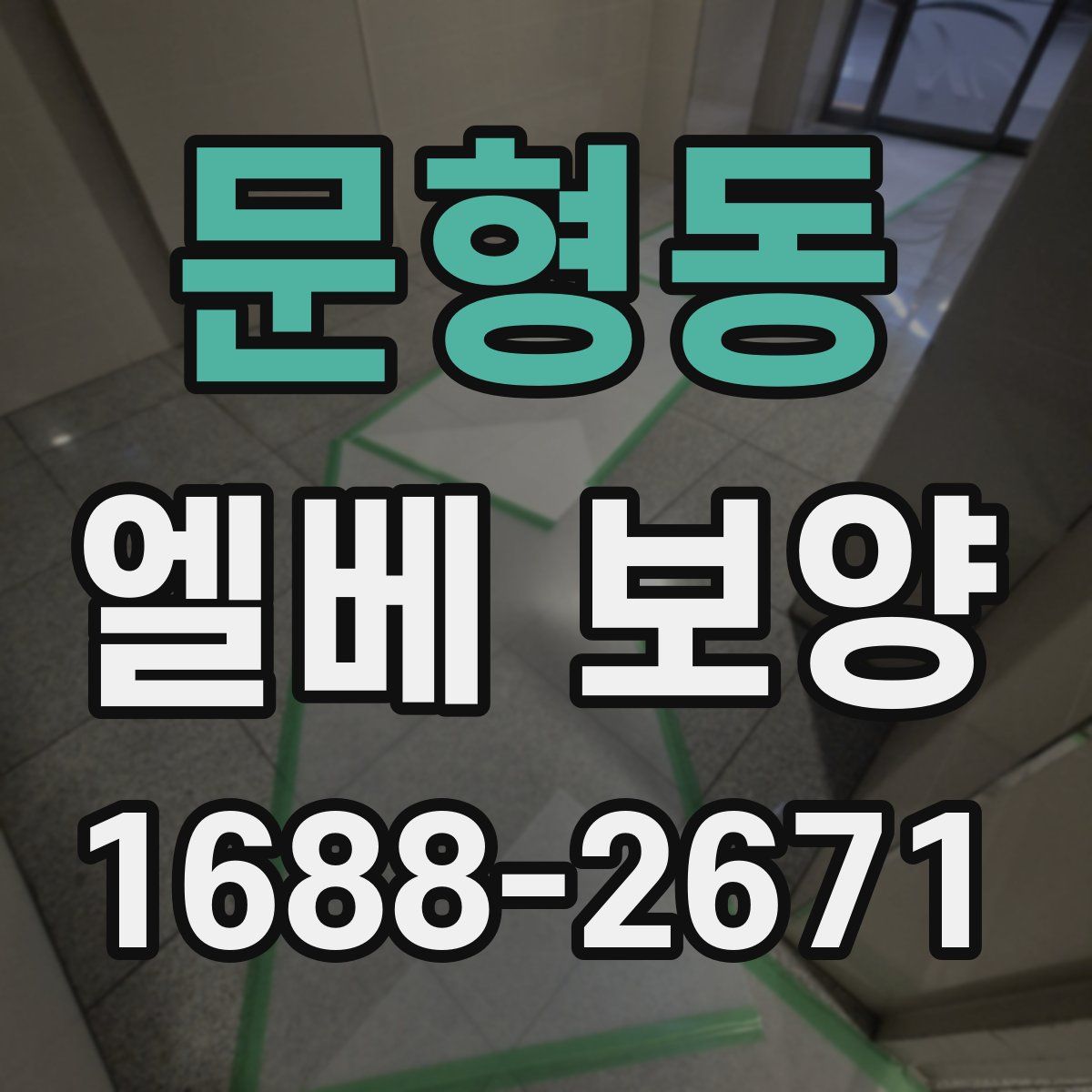 문형동 엘베 보양