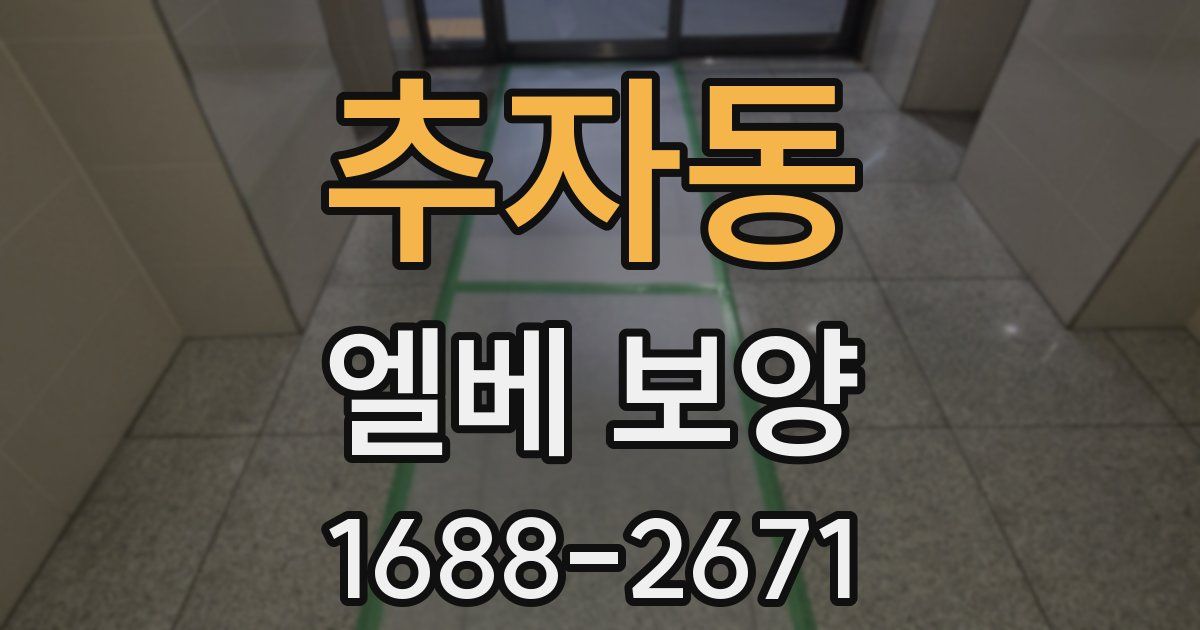 추자동 엘베 보양