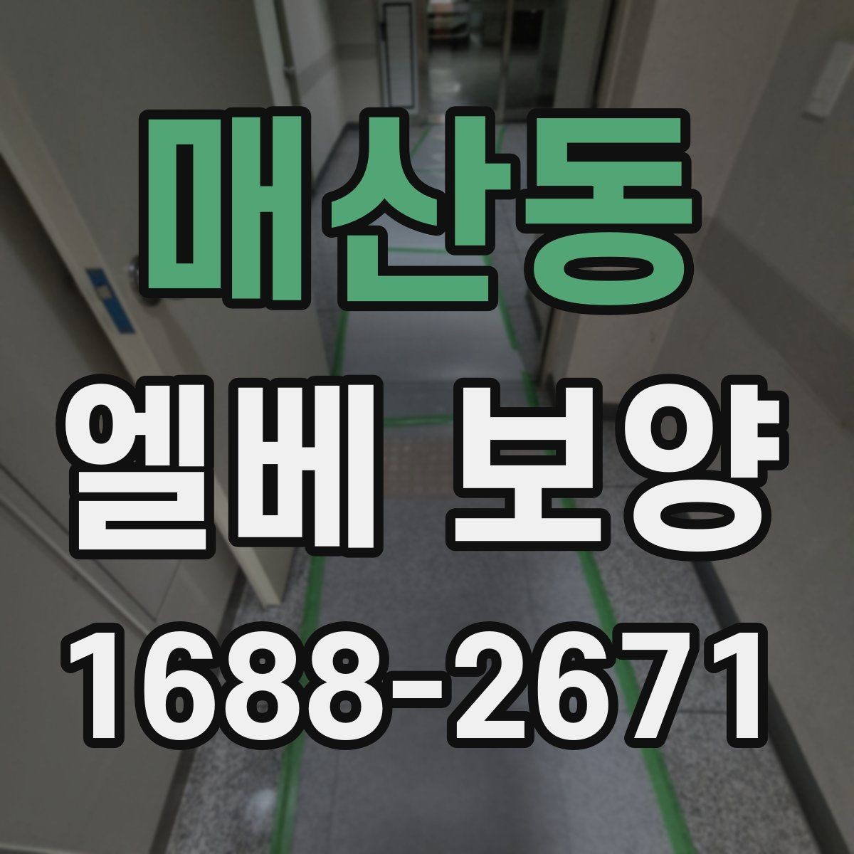 매산동 엘베 보양 벽면 손상까지 고려한 시공 순서