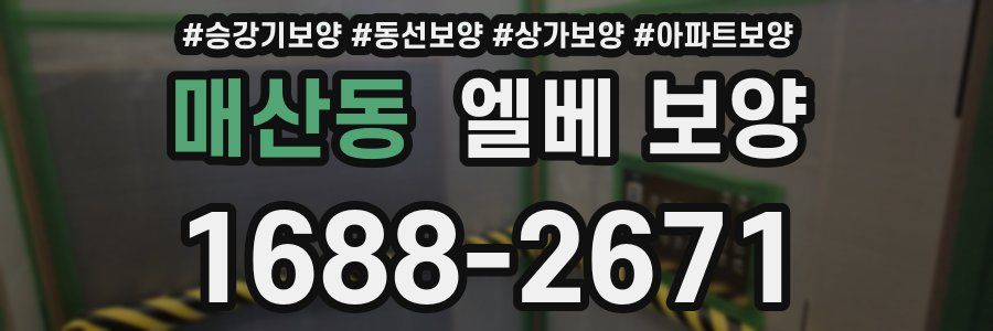 매산동 엘베 보양