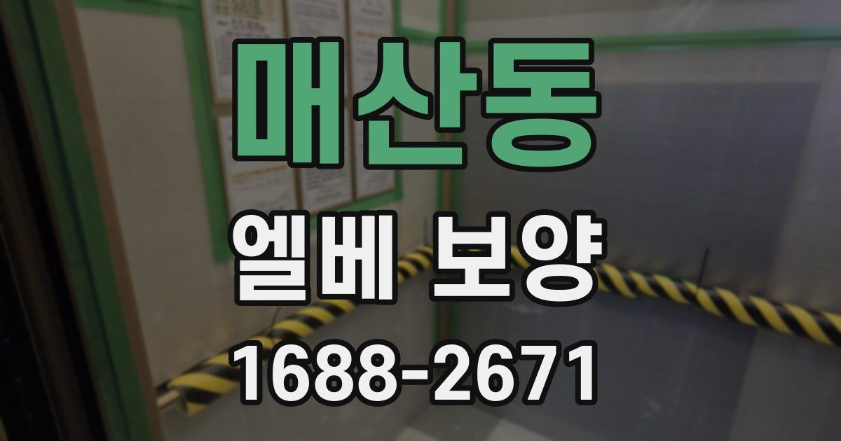 매산동 엘베 보양