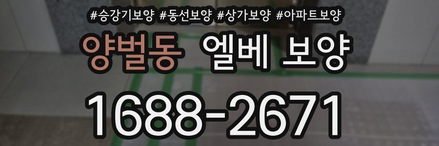 양벌동 엘베 보양