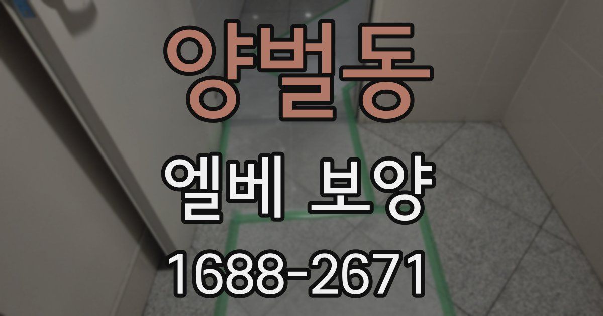 양벌동 엘베 보양