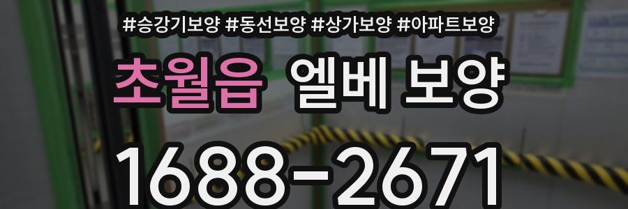 초월읍 엘베 보양