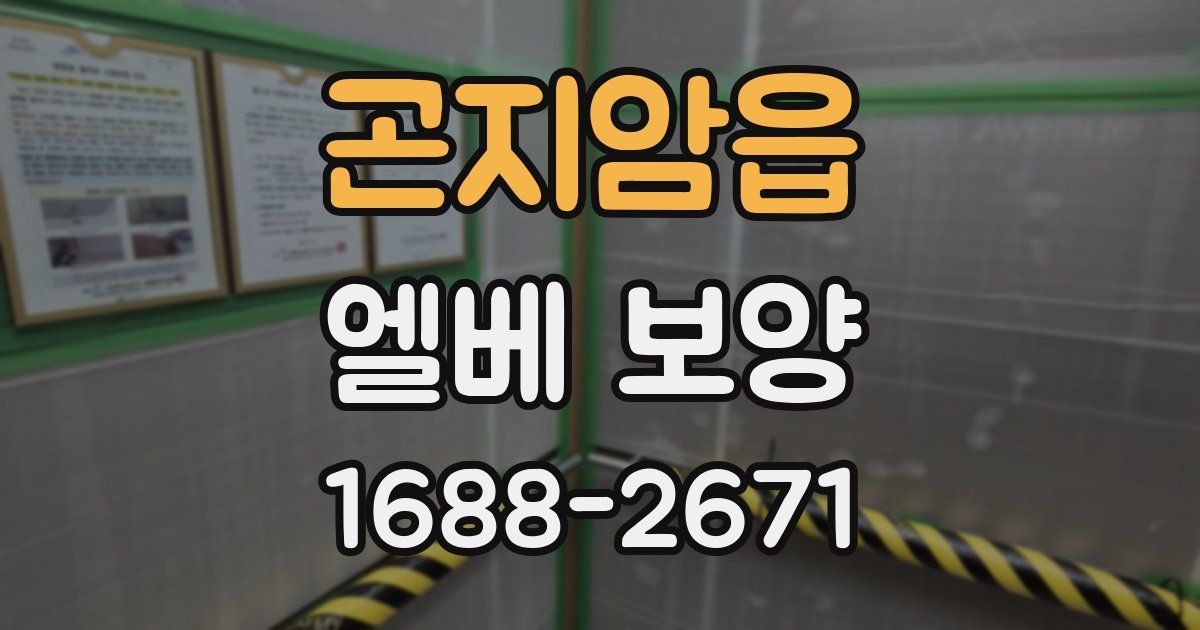 곤지암읍 엘베 보양