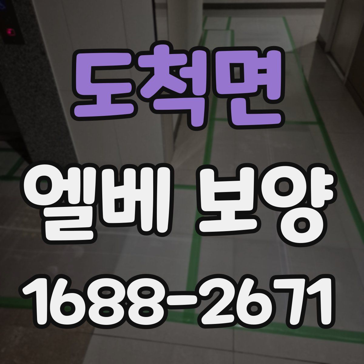 도척면 엘베 보양