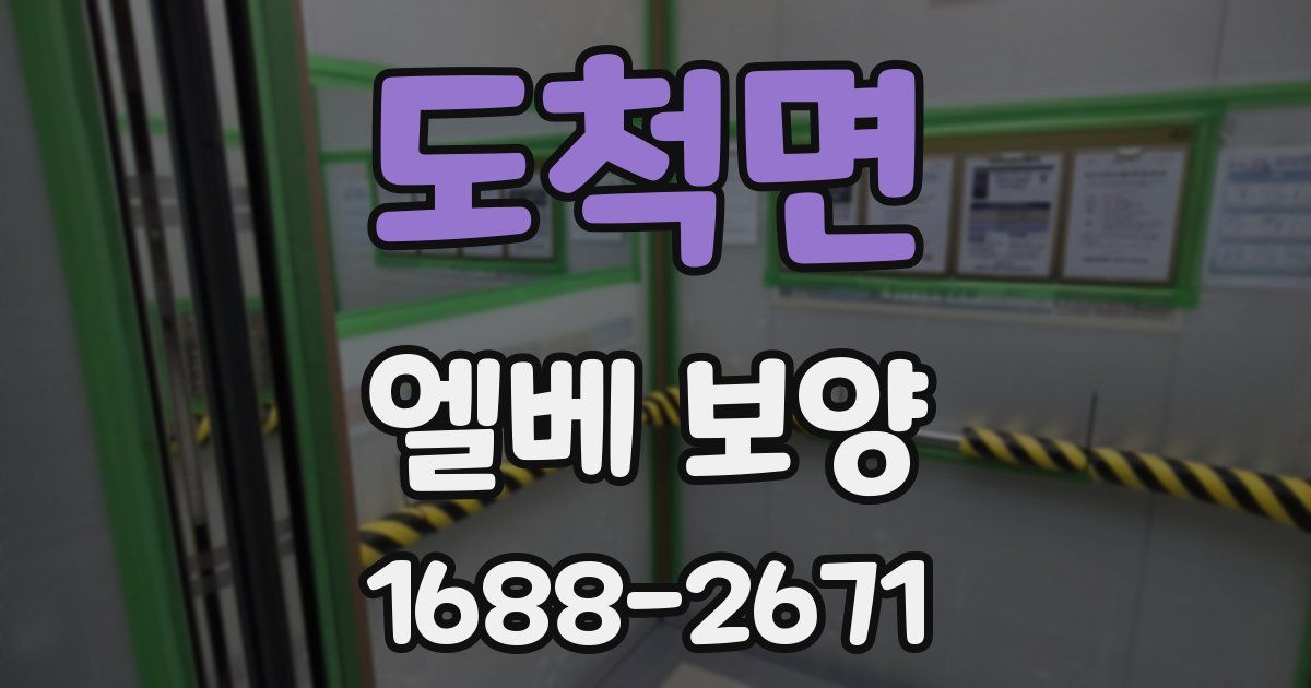 도척면 엘베 보양